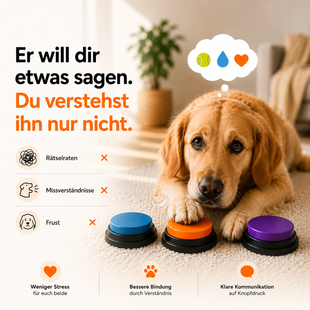 Hund mit CoolDog Talk Sprachbuttons in einem modernen Wohnraum