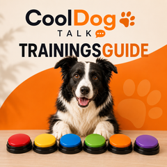 CoolDog Talk Trainingsguide
