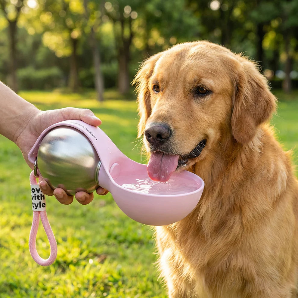 Cool Dog - Aqua 2 in 1 Bottle