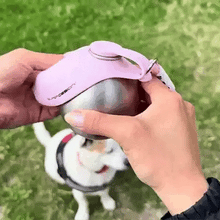 Cool Dog - Aqua 2 in 1 Bottle