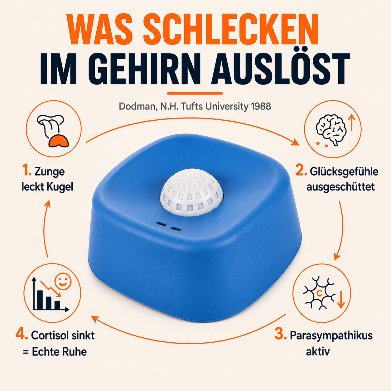 CoolDog - Leckball & 10 Rezeptideen