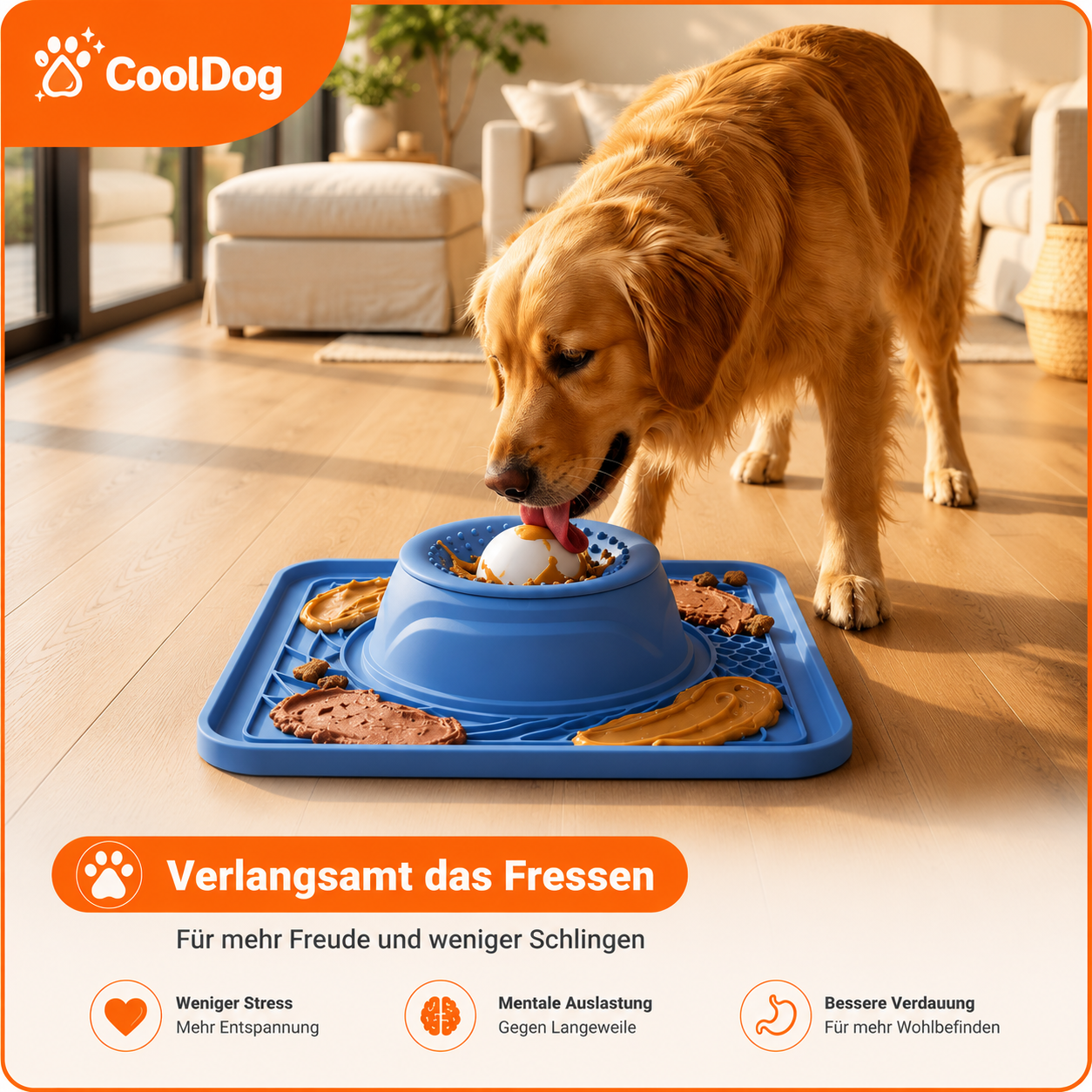 CoolDog-Duo Play Set