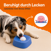 CoolDog - Leckball & 10 Rezeptideen