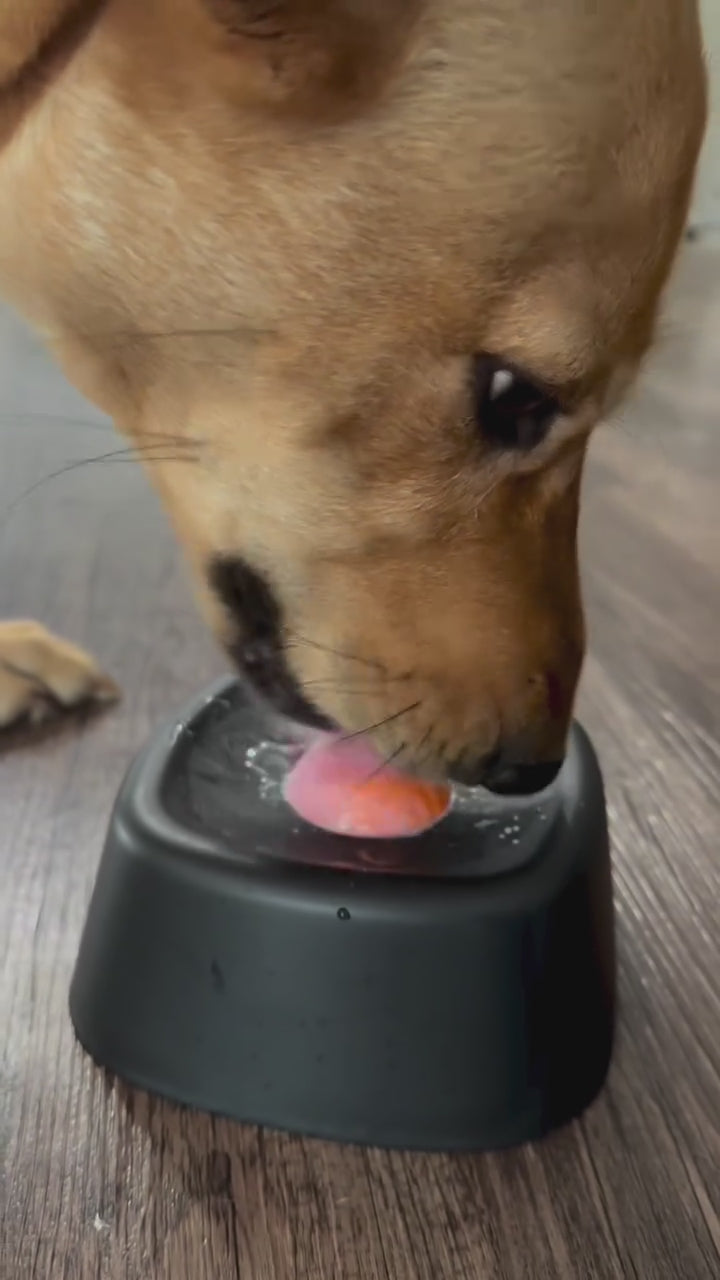 CoolDog - Leckball & 10 Rezeptideen